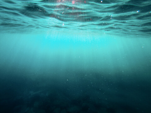 Cristian palmer XexawgzYOBc unsplash 3