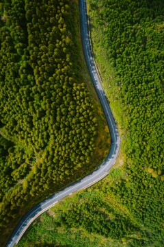 Damir babacic  5fL5uvvIDQ unsplash