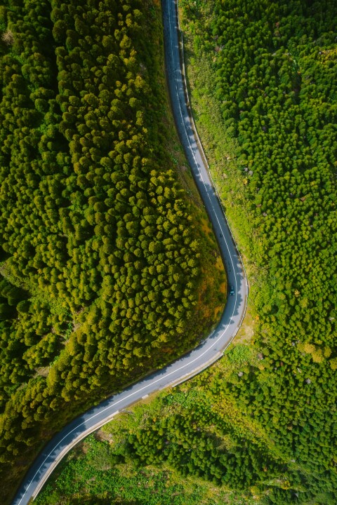 Damir babacic  5fL5uvvIDQ unsplash