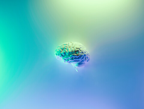Milad fakurian 58Z17lnVS4U unsplash 2